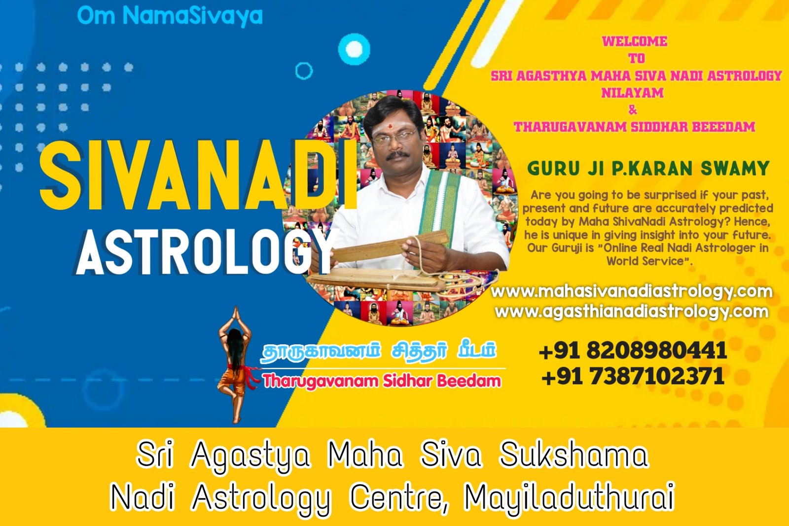 Best Nadi Astrologer