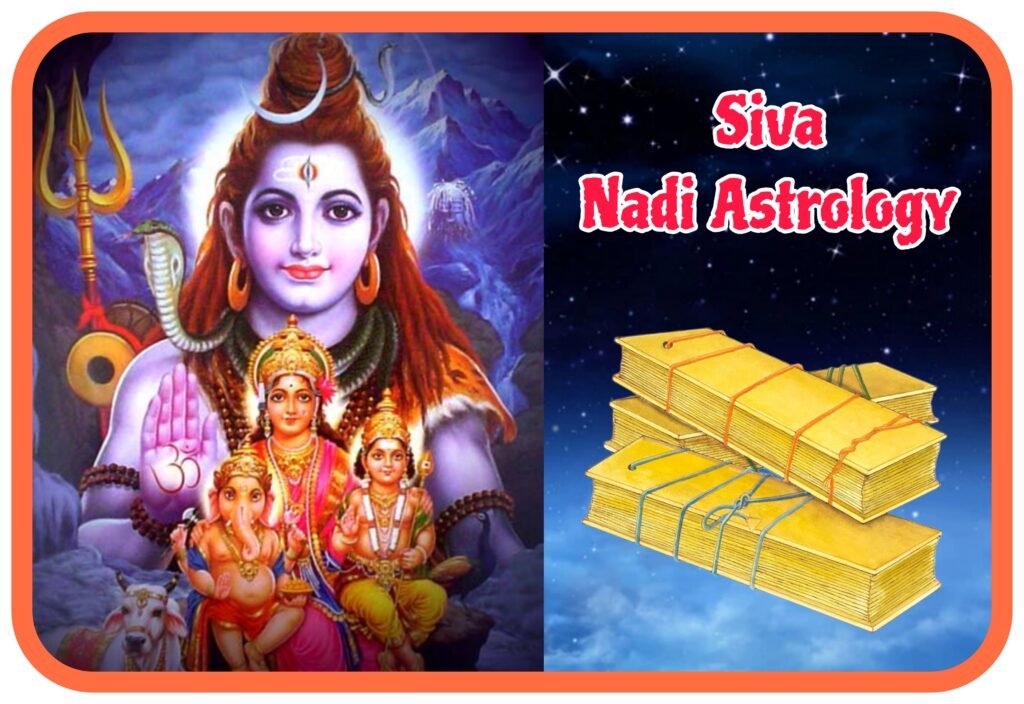 Maha Siva Nadi Astrology