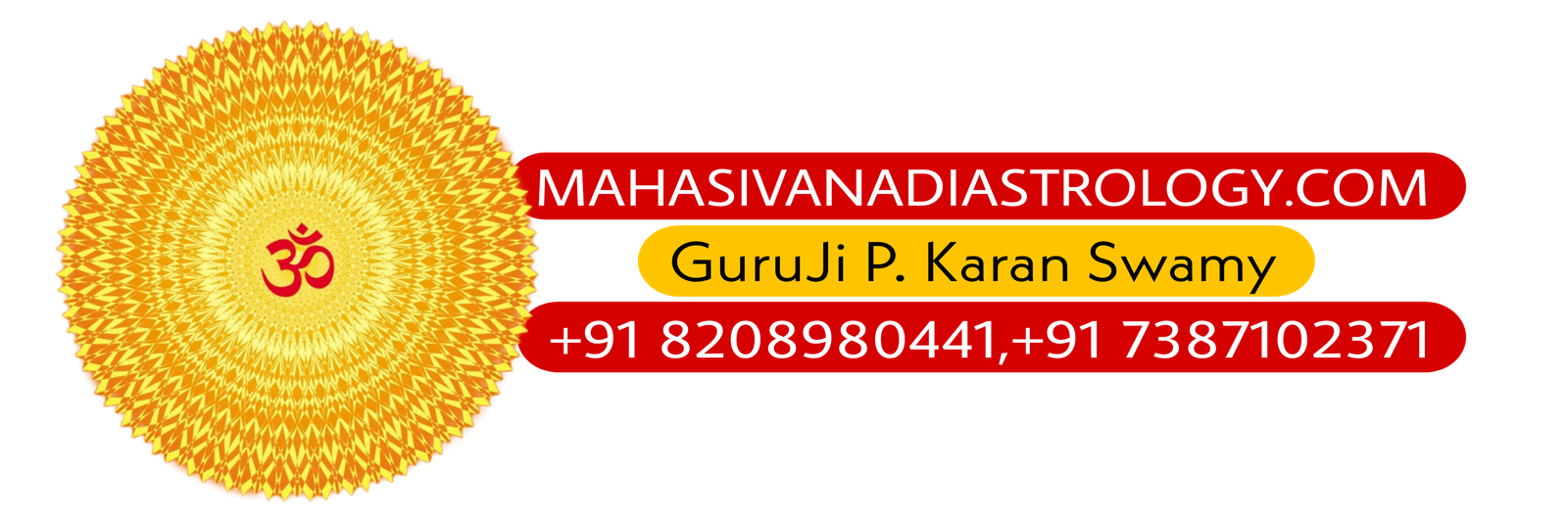 Nadi Astrology Centre in india