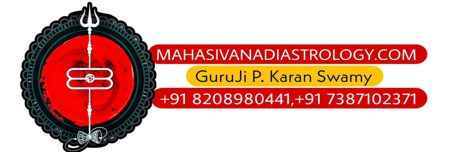 Nadi Astrology Centre in india