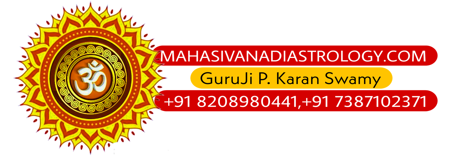 Nadi Astrology Centre in india