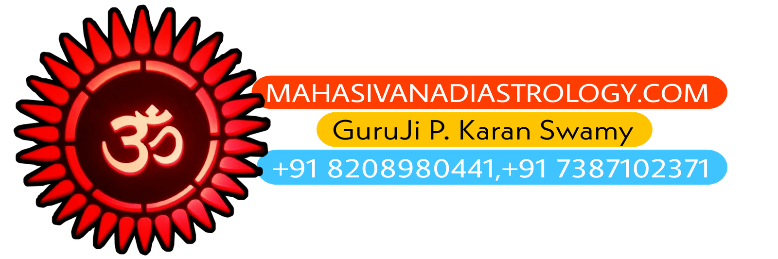 Nadi Astrology Centre in india