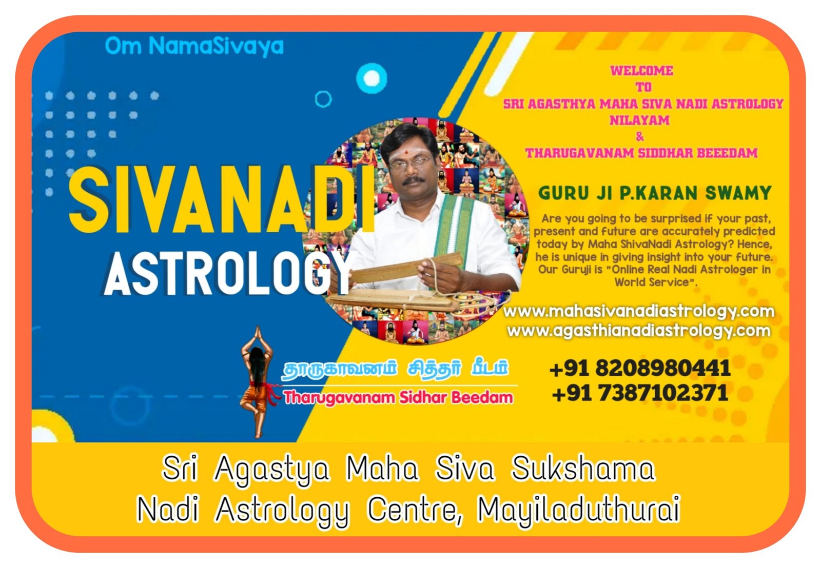 Nadi astrology services