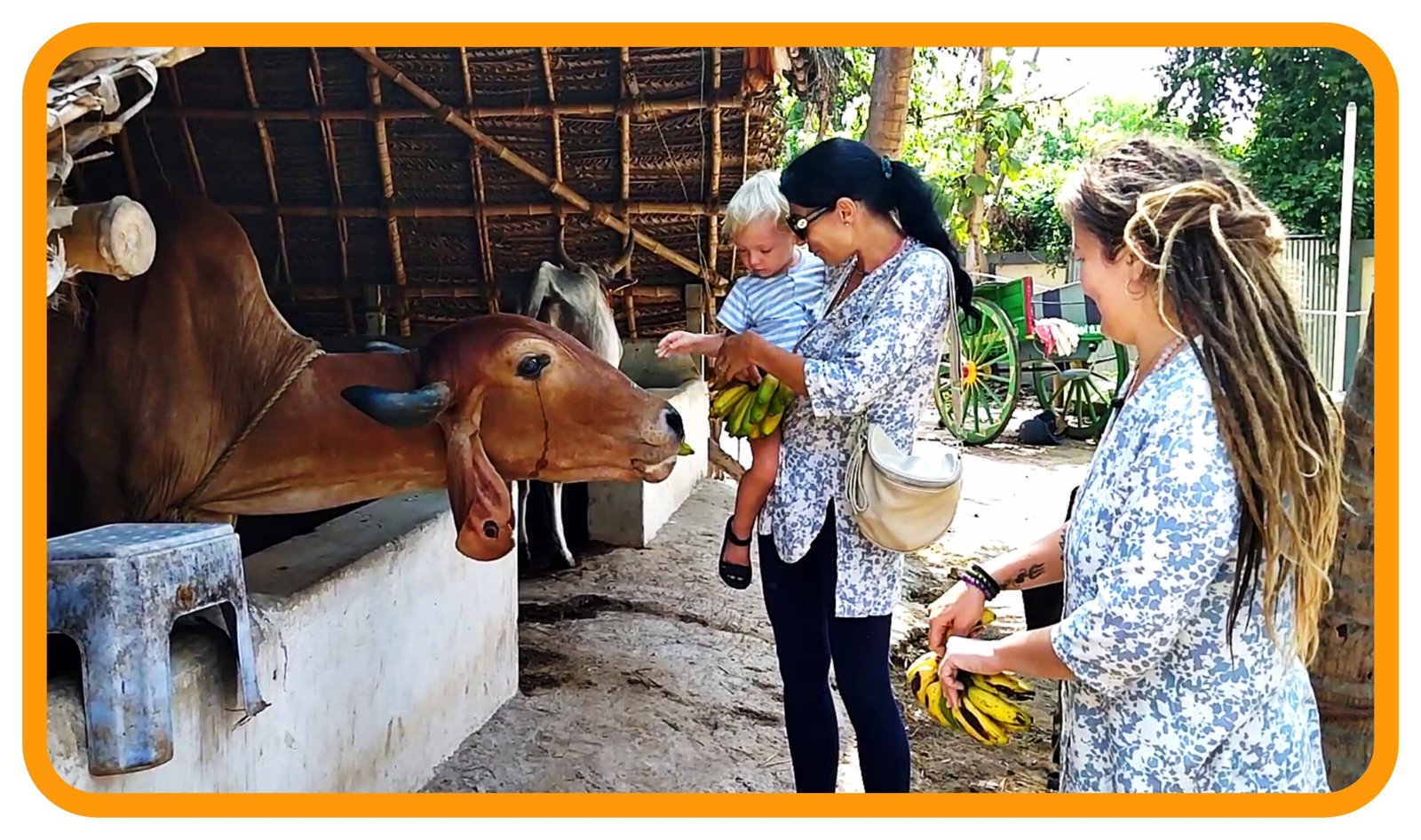 Nadi Astrology Centre Clients